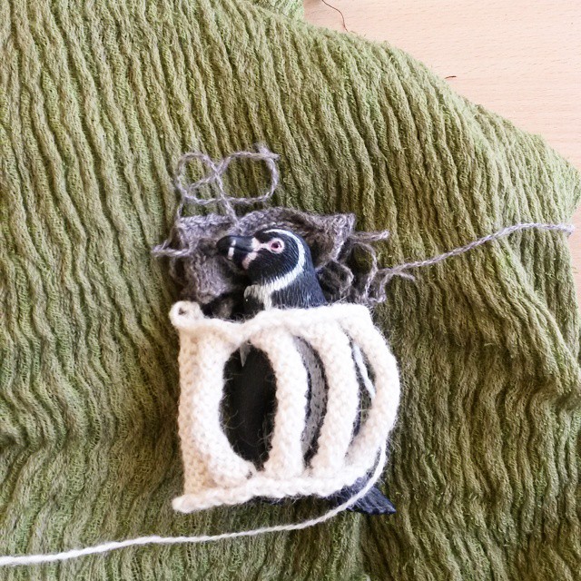 11049258_701233649988088_439203985_n