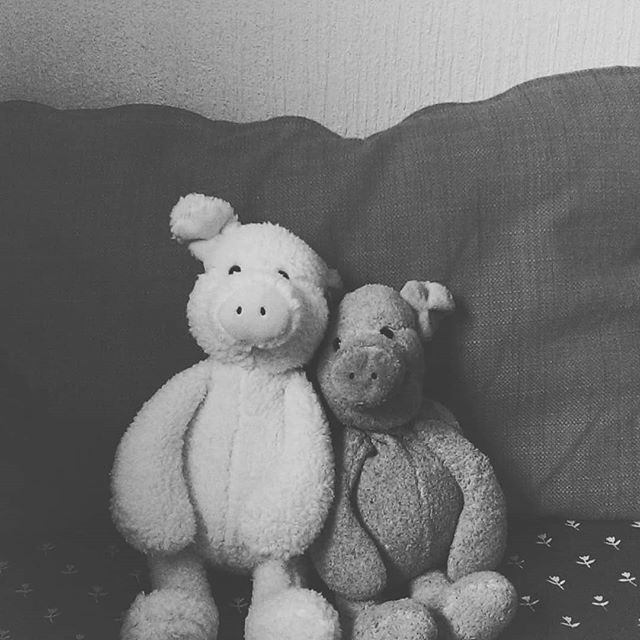 23595705_348161232319921_268038519417470976_n